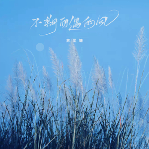 美女扣币币视频
