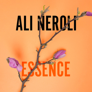 美女扣币币视频
