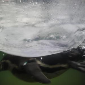 美女扣币币视频
